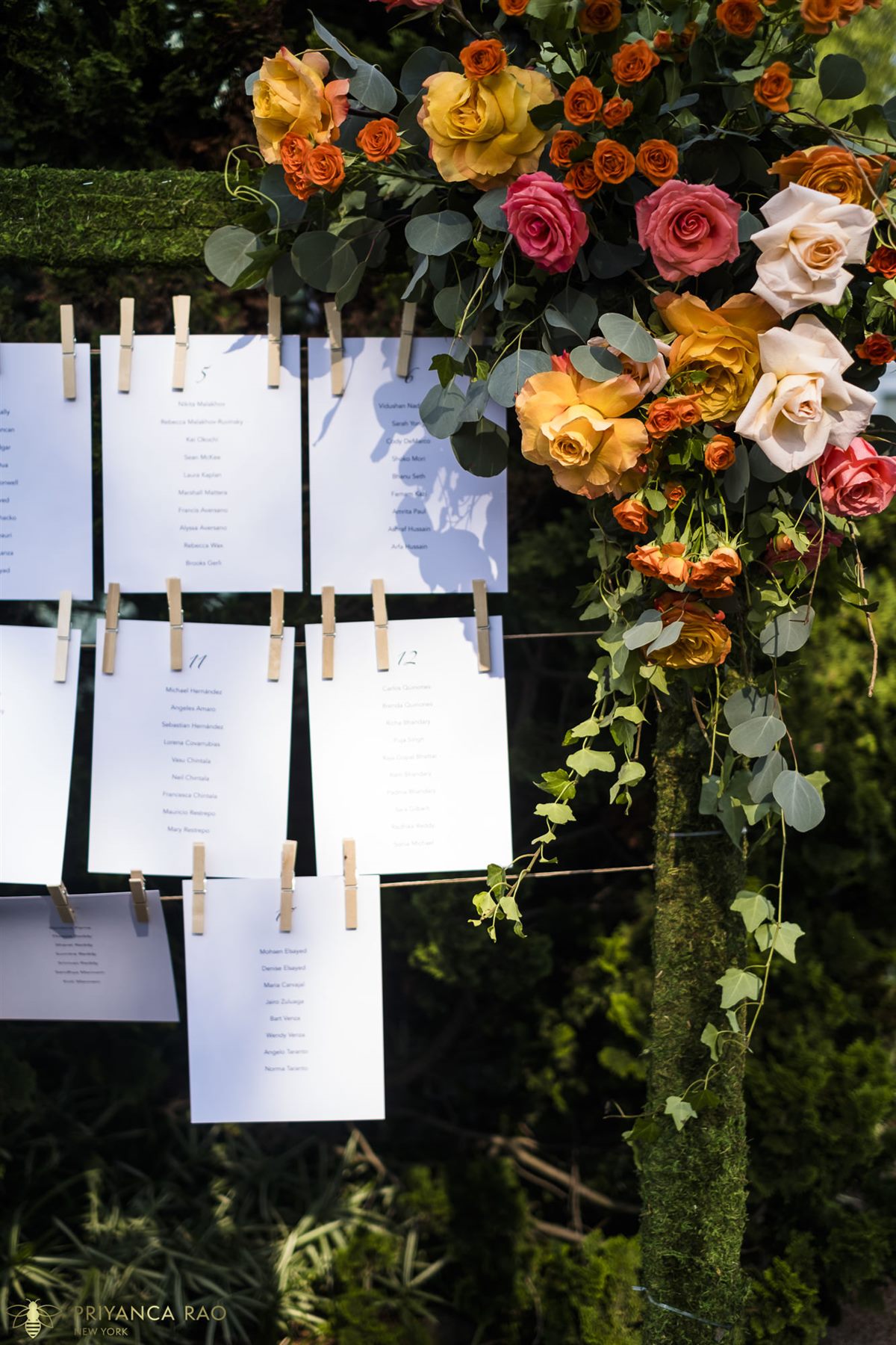 Escort cards pinned to a living wall