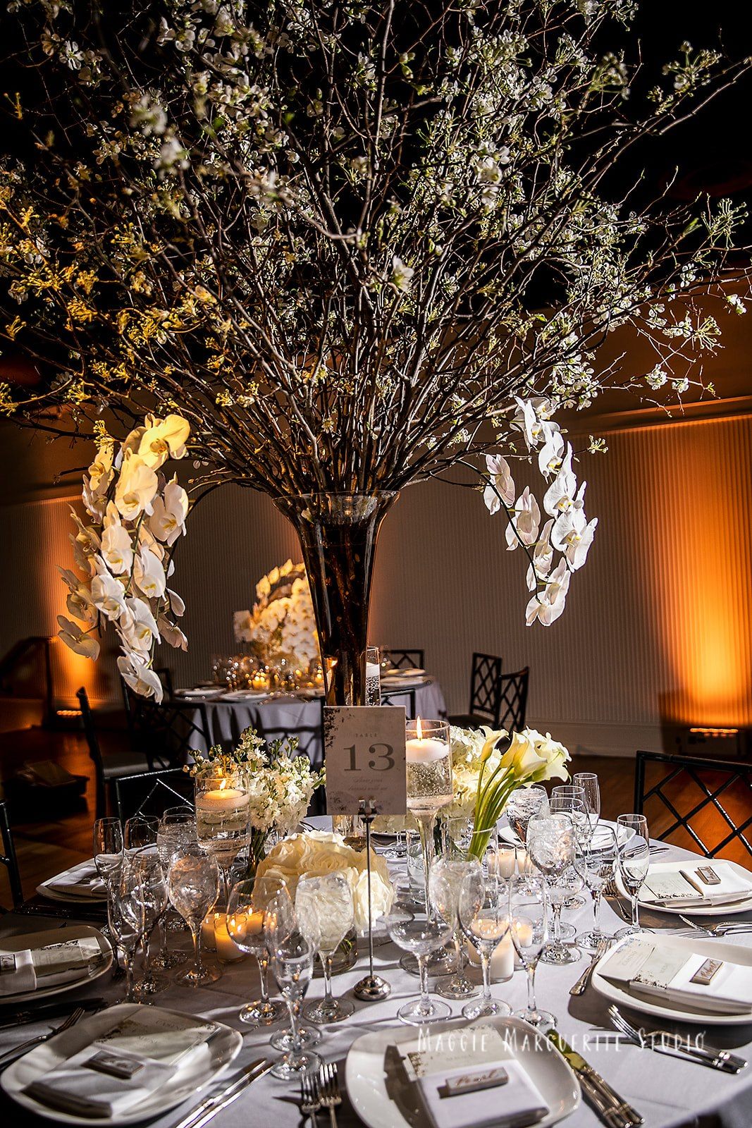 A cherry-blossom tree rising from the table